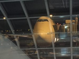 IMG_6182
